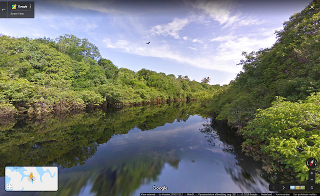 De Amazone aan de rivier de Rio Negro.