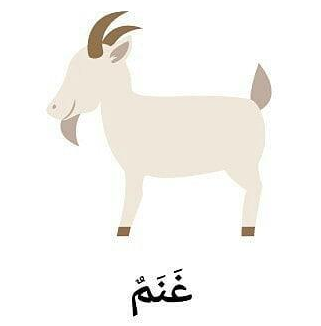 Bahasa Arab Kambing Jajat Blog