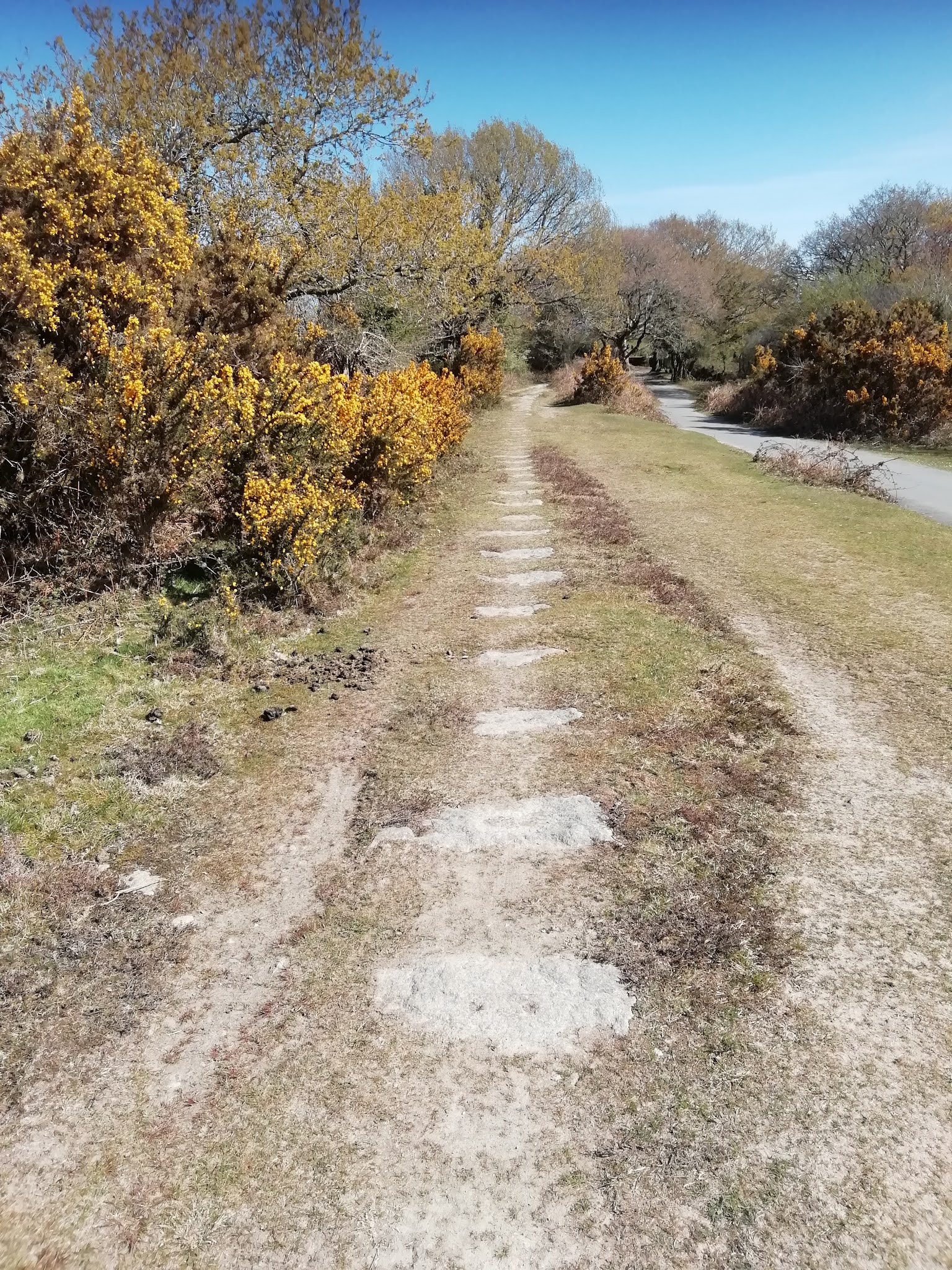 Life in Plymouth Clearbrook to the Rock, Yelverton