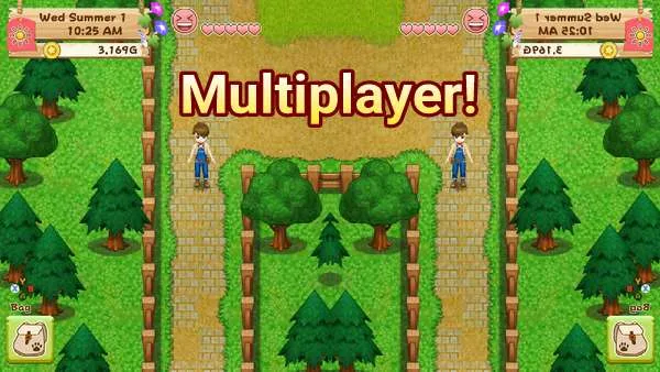 Harvest Moon: Light of Hope: How to Play Co-Op Multiplayer