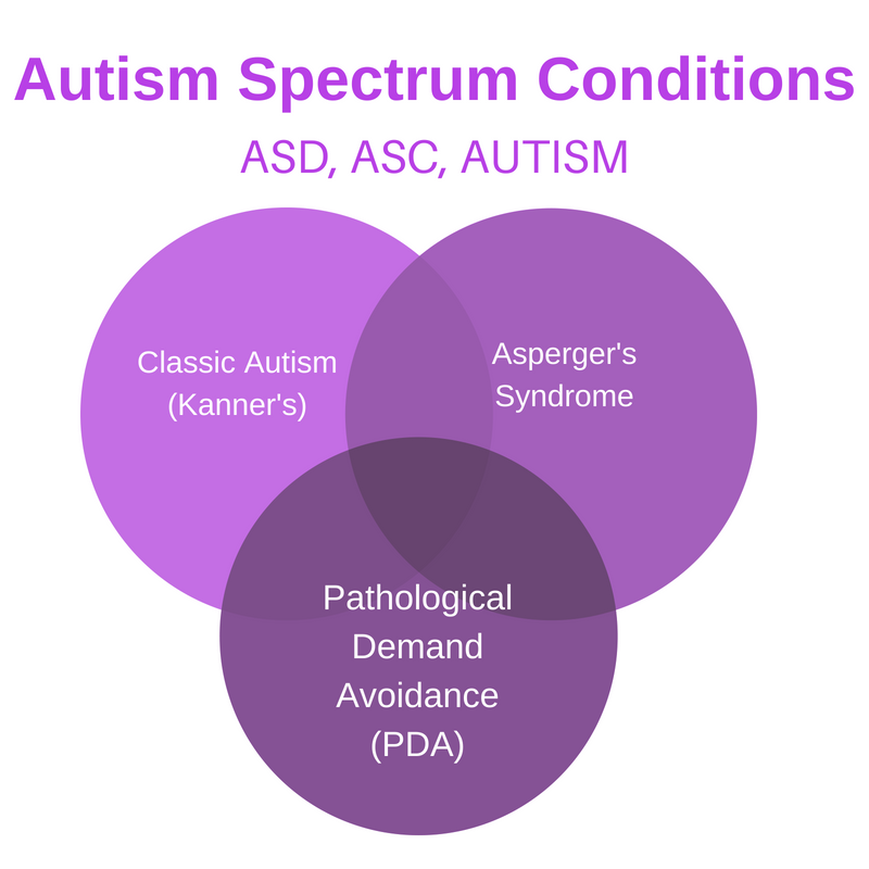 Does my child have Pathological Demand Avoidance? Steph's Two Girls