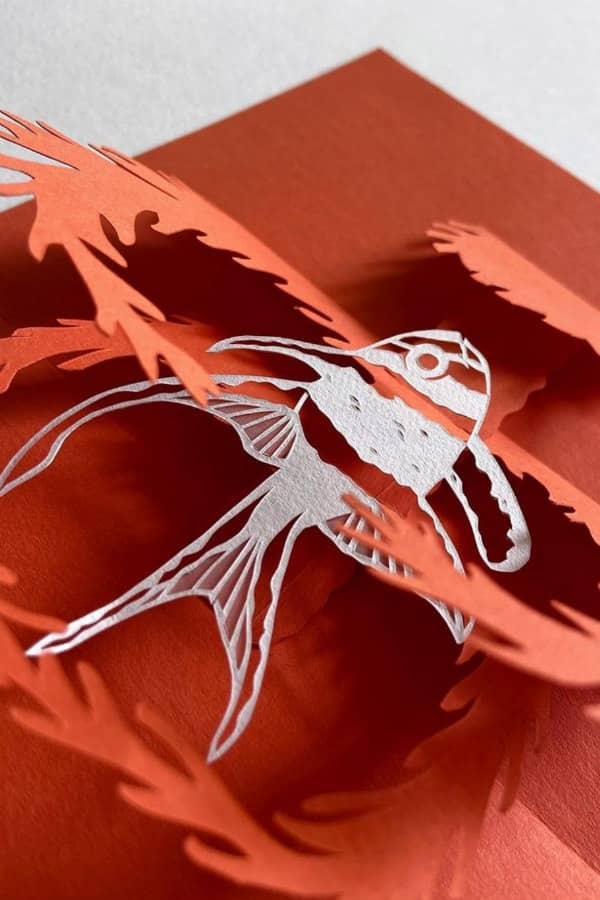 papercut Banggai kardinaalvis pop-up