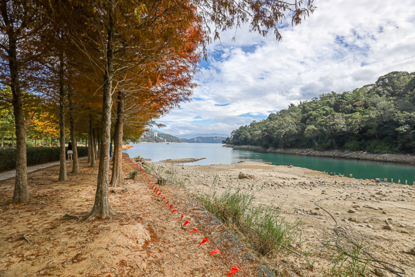 南投日月潭向山落羽松，湖光山色搭配自行車道和雙心花園美不勝收