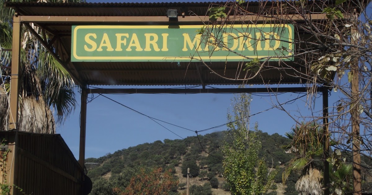 El postrero aprendiz Safari Aldea del