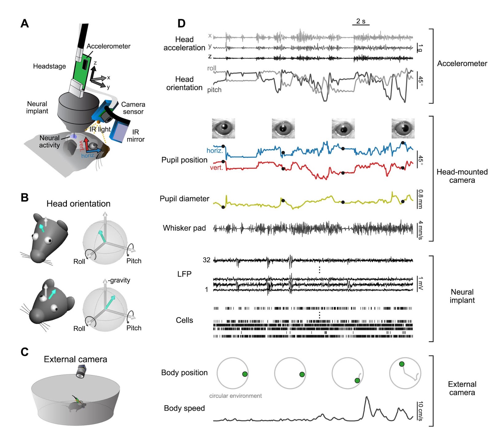 Selective Vision for Action: Research Interests
