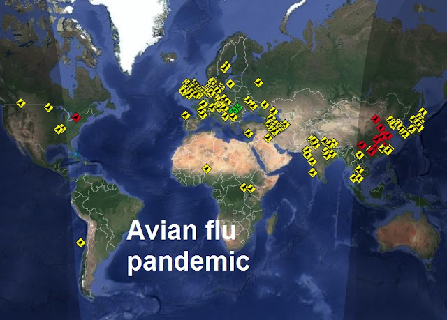 Avian flu pandemic update: Taiwan United States and Japan cull nearly one and a half million birds a Untitled