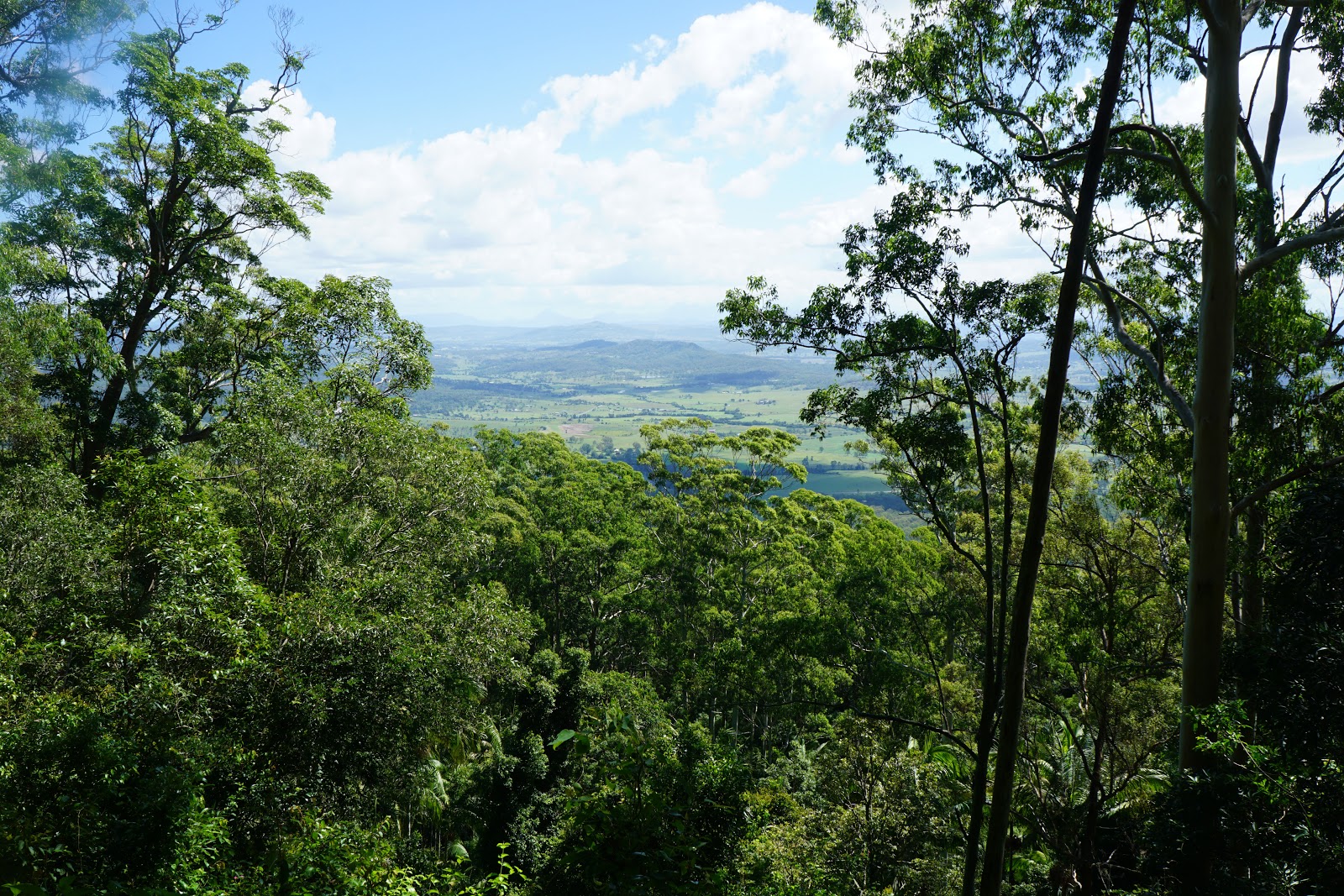 Witches Falls & Witches Chase (Tamborine National Park) The Long Way