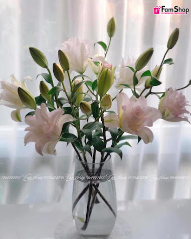 Hoa ly kép trắng