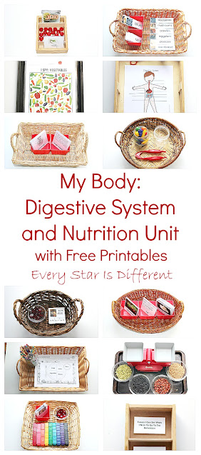 My Body: Digestive System and Nutrition Unit with Free Printables