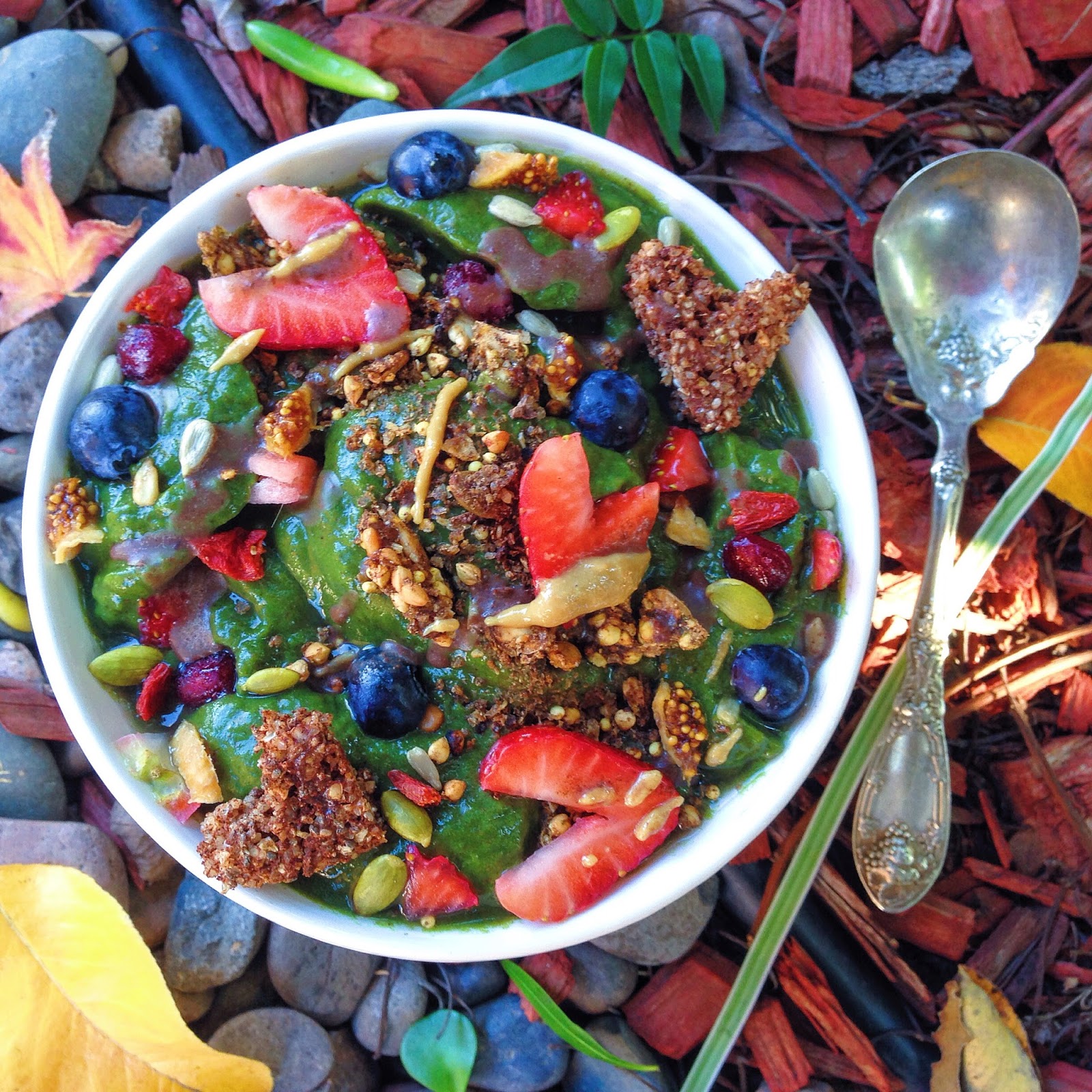 Oatless Oatmeal Crunchy Clusters (GF, Vegan, Oat Free)