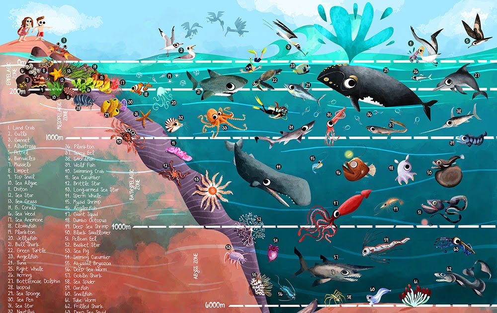 green-humour-ocean-zones-illustration-for-arastirmaci-cocuk