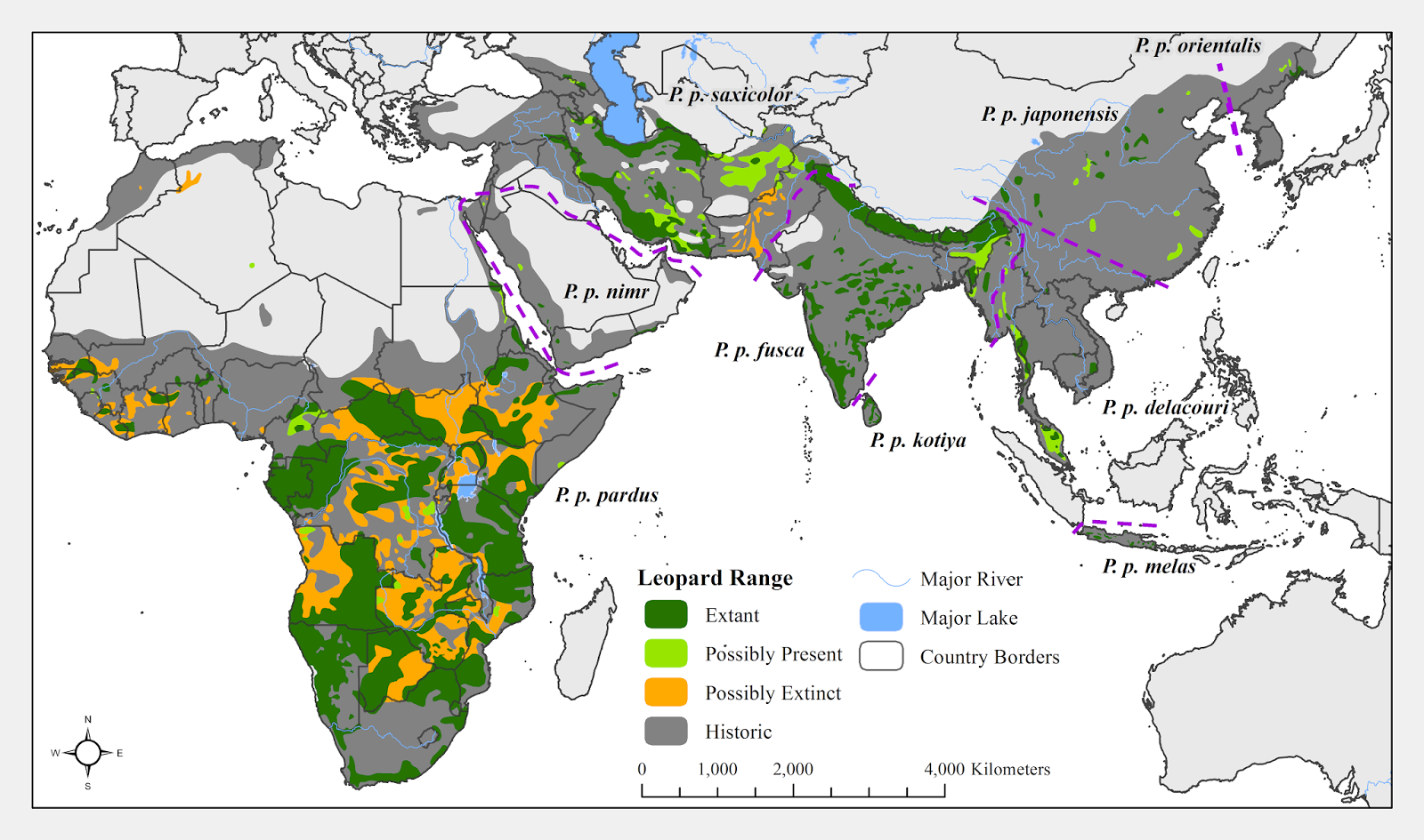 The historic and present distribution of the Leopard