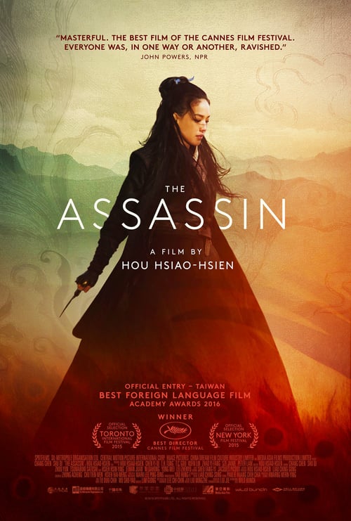 The Assassin 2015 Streaming Sub ITA