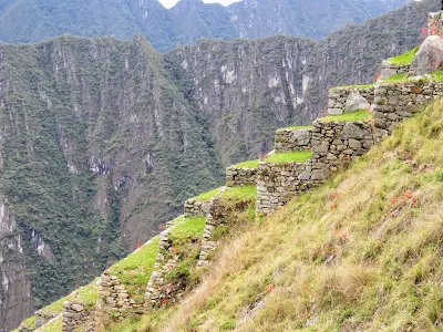 Machu Picchu Images: Picture of a terraced farm at Machu Picchu in Peru