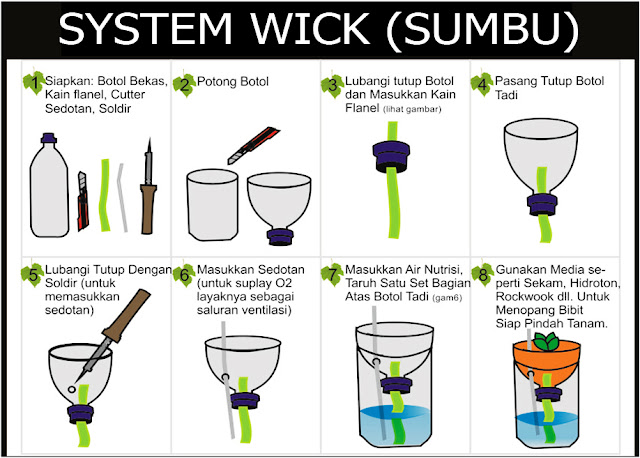 Cara Menanam Hidroponik Untuk Pemula (Pakcoy, Kangkung, Bayam, Sawi Dll)