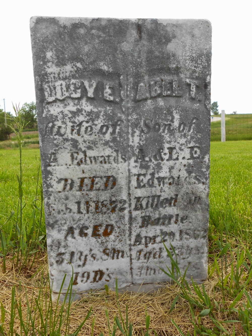 The Lucas Countyan Lucas County's Civil War dead