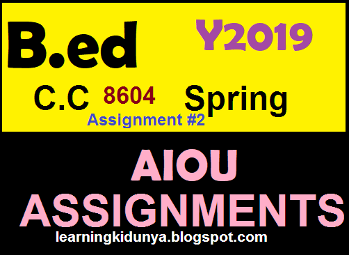 8611 assignment spring 2021 image