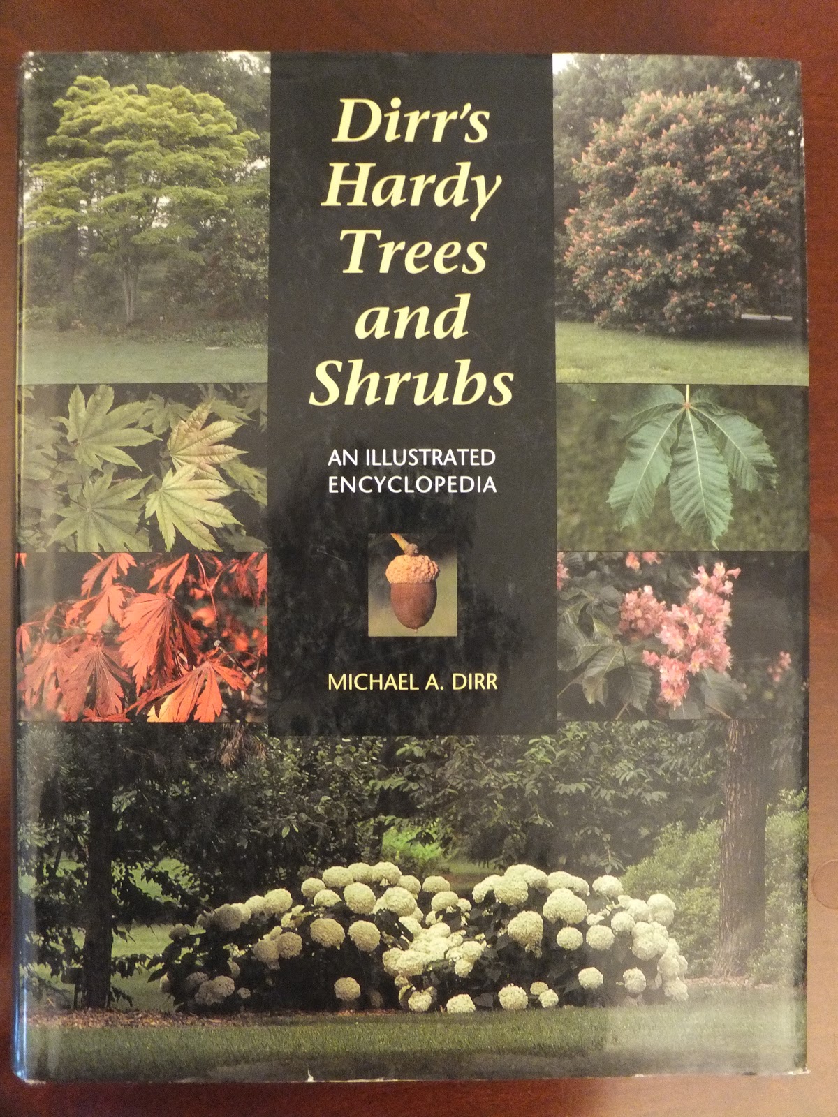 Julie The Garden Fairy: Michael A. Dirr