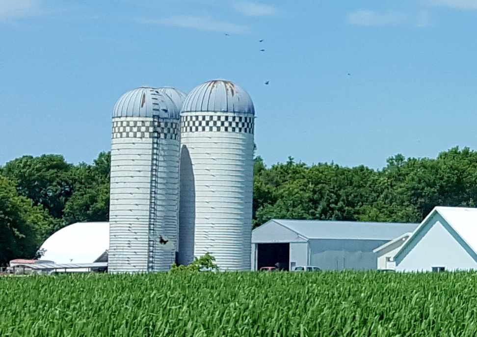 Wandering His Wonders Swift Falls, Minnesota