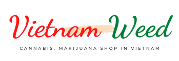 Vietnam Weed - Cannabis, Marijuana, THC Shop in Vietnam