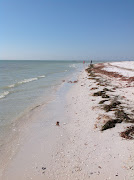 Florida Beaches (image)