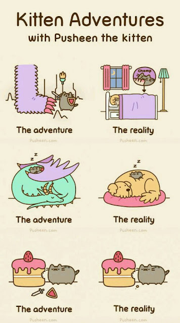 pusheen pegasus