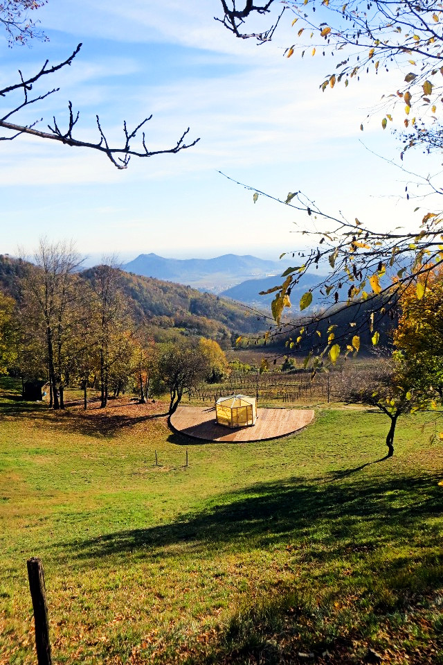 foliage veneto autunno