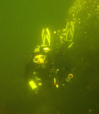 Nelson Scuba Diving