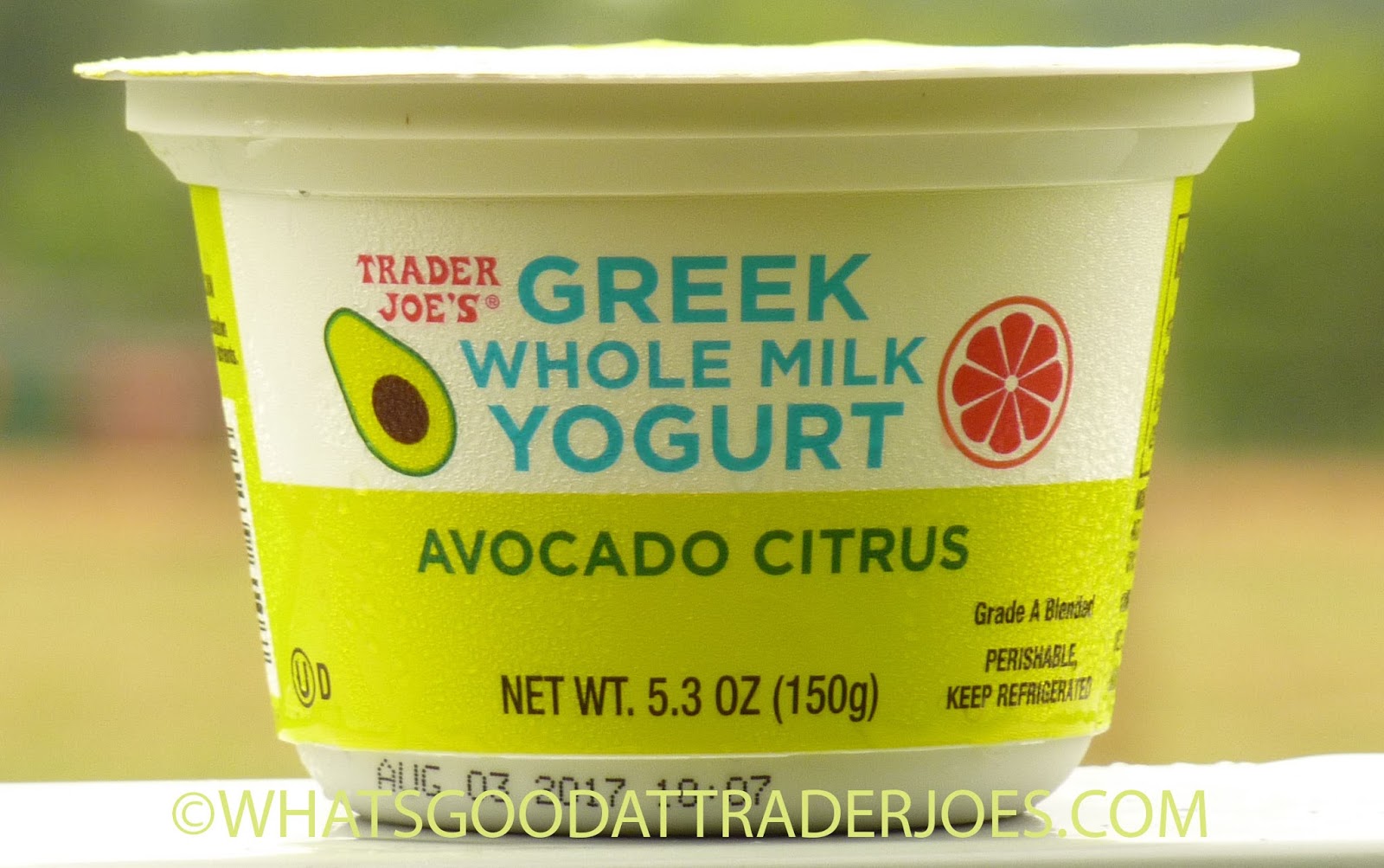 What's Good at Trader Joe's? Trader Joe's Avocado Citrus Greek Yogurt