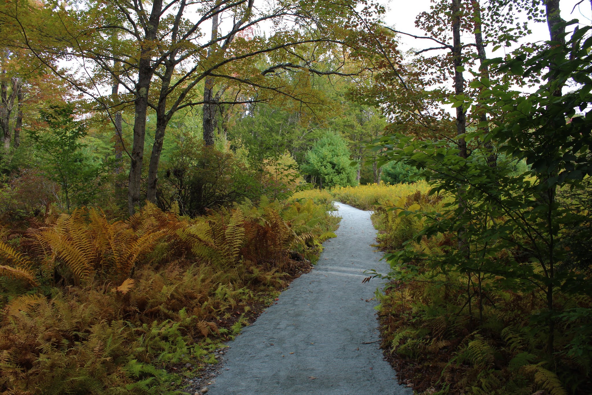 Walking Man 24 7 Poestenkill Community Forest(Poestenkill, Rensselaer