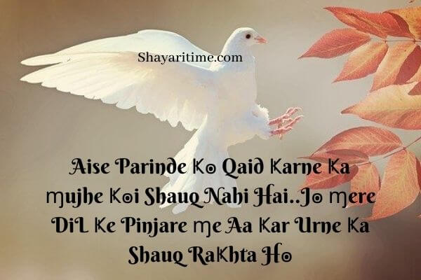 2 line shayari