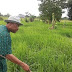 Senator Onwe: Epitome of Operation Feed the Nation and New Face of Agriculture Revolution