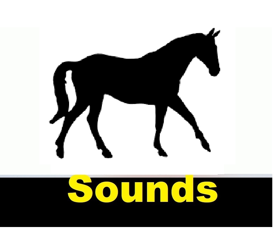 All Sound Effects horse sound effects