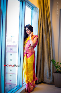 Actress Adah Sharma Exclusive Poshoot in Beautiful Yellow Silk Saree at Saree Niketan Showroom Launch  0004
