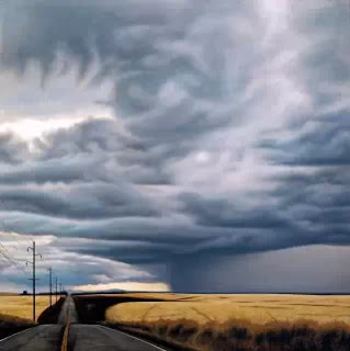 Американский художник. Michelle Osman Michelle Osman