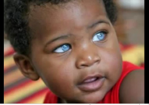 O Menino Mais Bonito Do Mundo