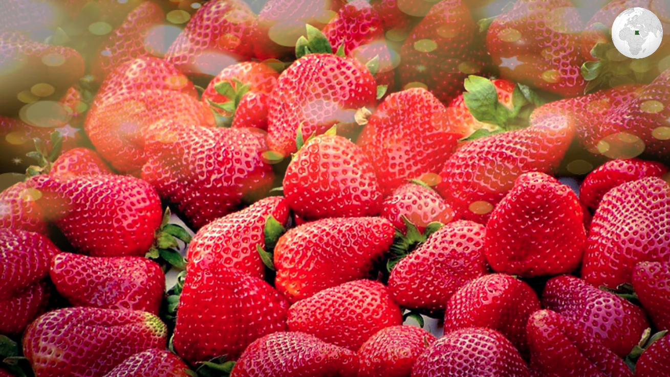 Egypt is the first globally in exporting frozen strawberries