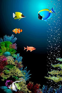 Very Nice Iphone Fish Wallpaper | New Stylish Wallpaper