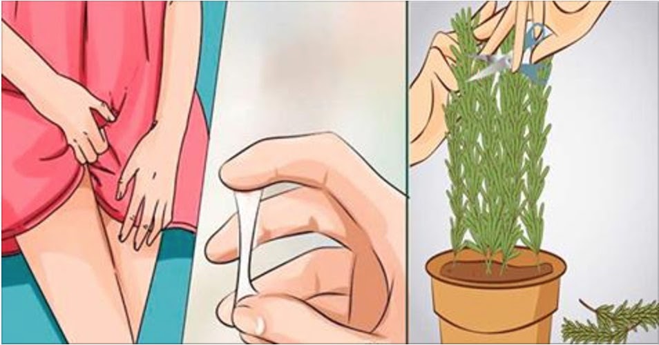 Quem como curado o prego cultivado
