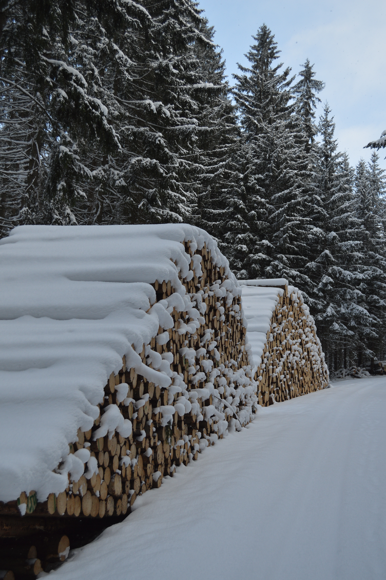 šumava v zimě, boehmerwald in winter, snowdrifts, travelogue, georgiana quaint, cross-country ski trip šumava, na běžky po šumavě