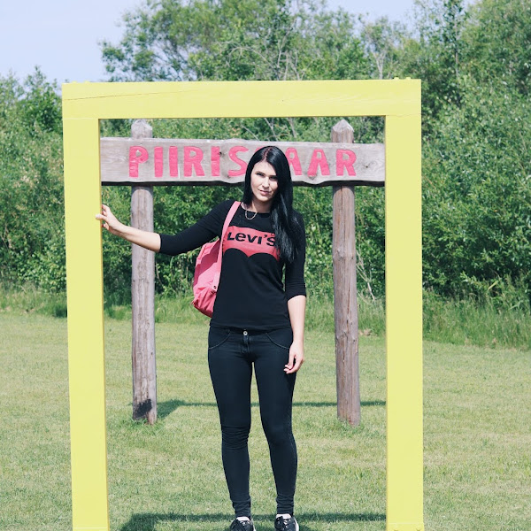 Piirissaare laevareis 