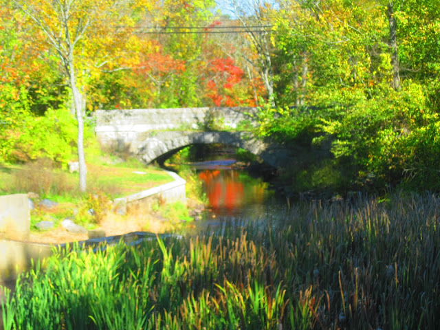 West In New England OCTOBER 2015