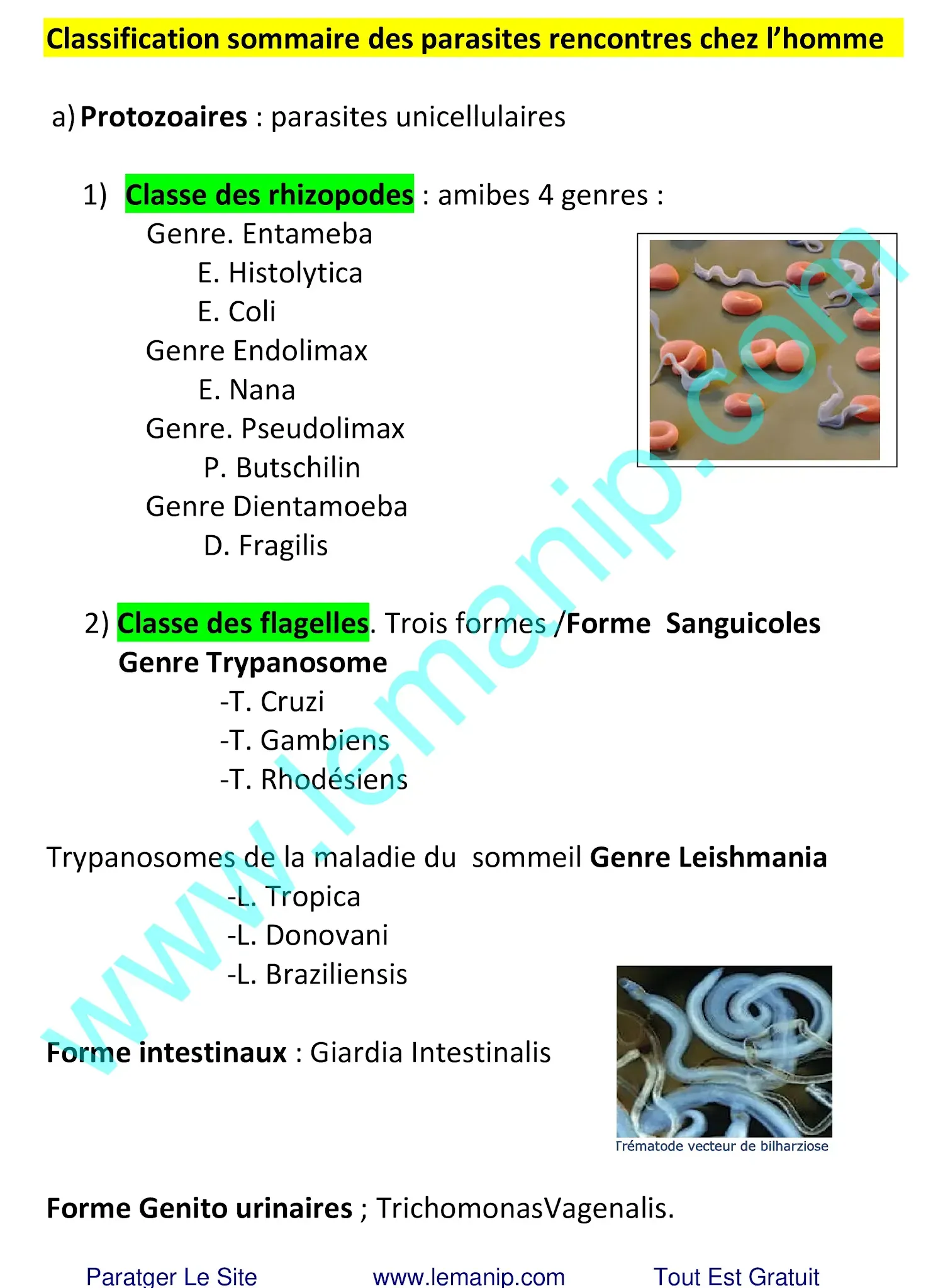 Classification sommaire des parasites rencontres chez l’homme