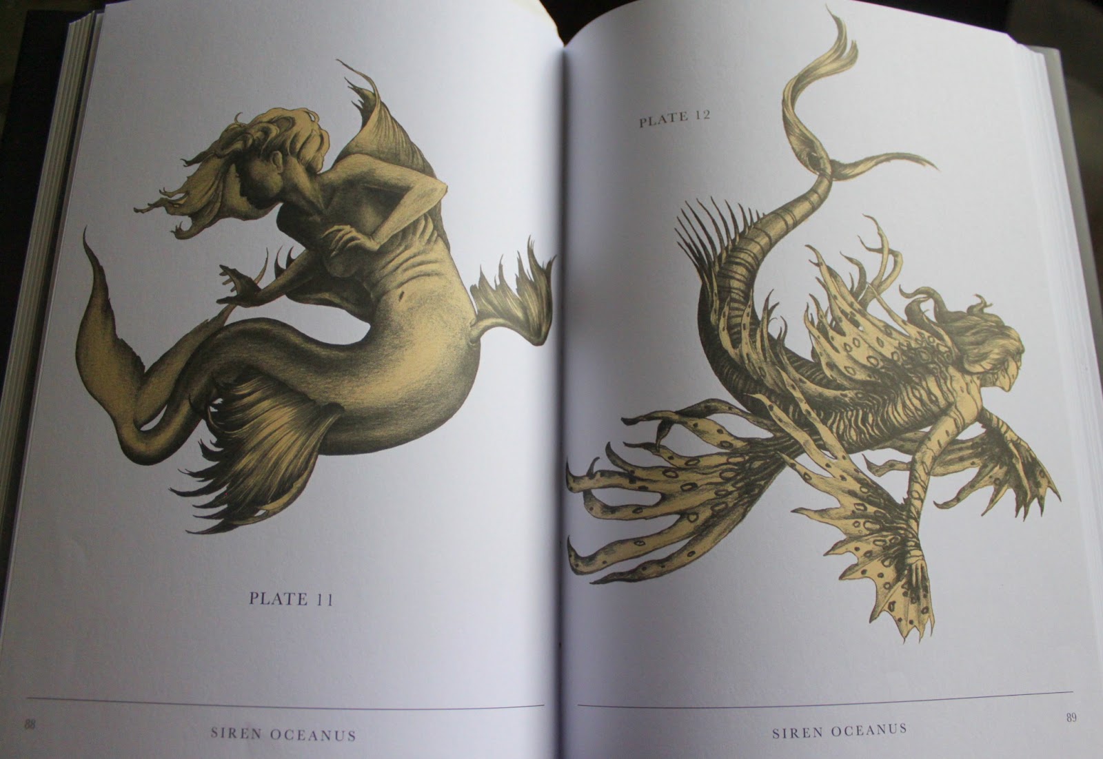 Girl Reads Book The Lost Works