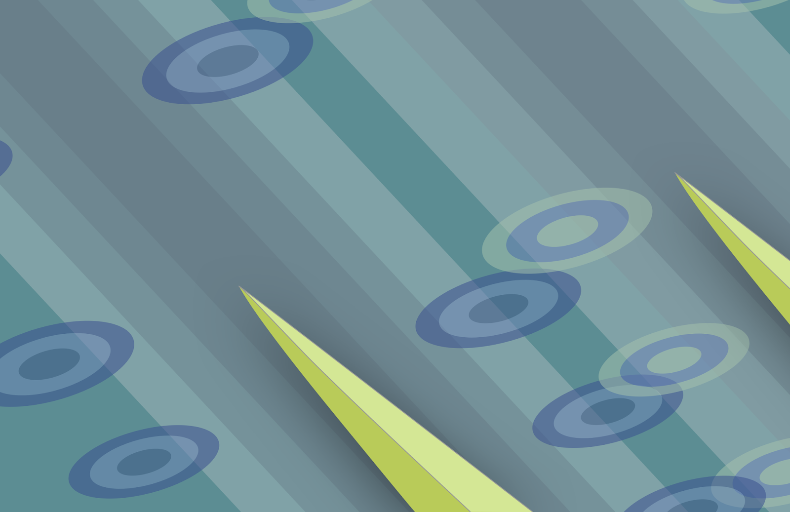 The Oxford and Cambridge Lightweight Boat Races, 2020