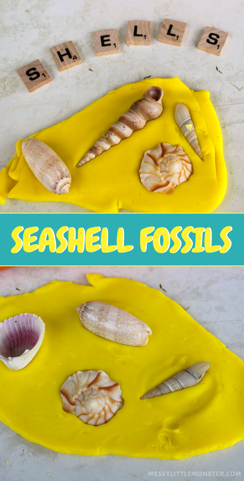 Playdough Seashell Fossils Activity Messy Little Monster
