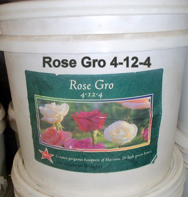 Xtremehorticulture of the Desert When to Fertilize Roses