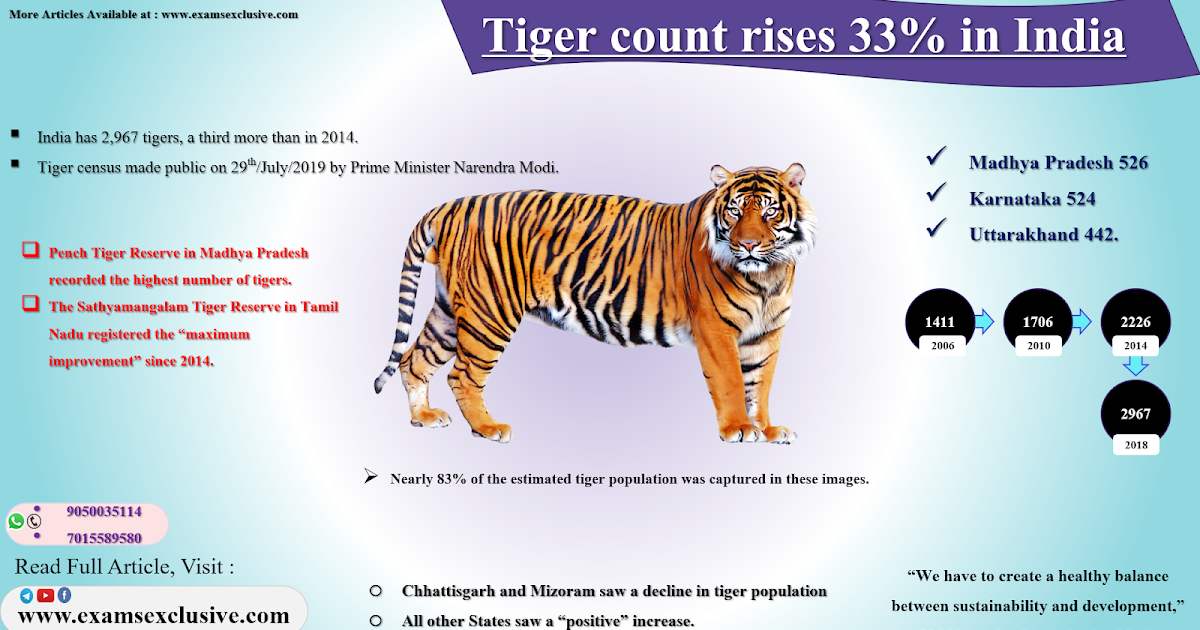 Tiger count rises 33% in India ~ Exams Exclusive "Education For All"