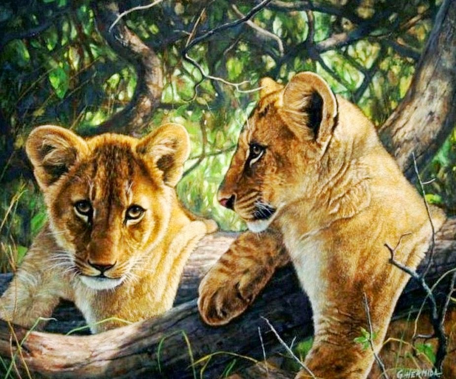 animales-leones-cuadros