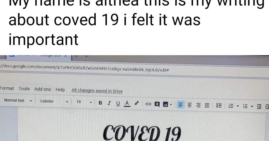 Alhea essay 05 image